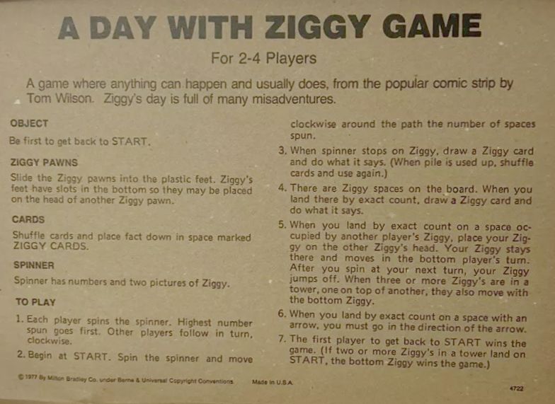 A Day with Ziggy Rules Page 1